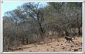 Click image for larger version

Name:	Studio_20150814_071937.jpg
Views:	580
Size:	457.7 KB
ID:	130503
